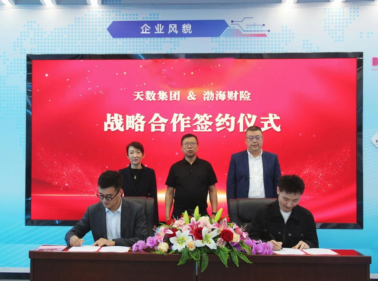 天數集團攜手渤海財險、楊柳青畫(huà)社發(fā)布首款擁有保險服務(wù)的數字藏品